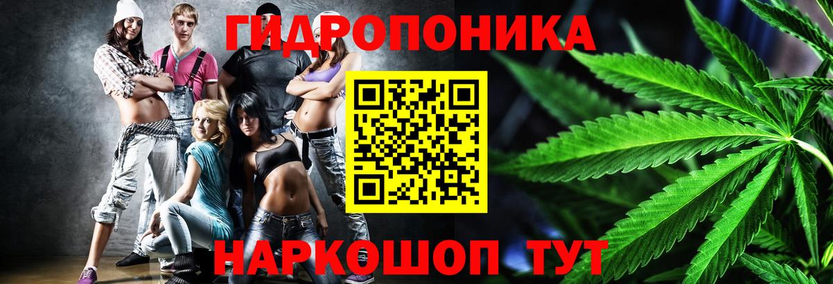 Канабис сатива Ревда
